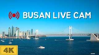 [Live] 부산 라이브캠 4K 생중계 🔴 광안리 라이브 광안대교 실시간 방송 Busan Live Cam Korea live webcam