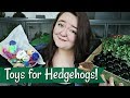 Toys for Hedgehogs!