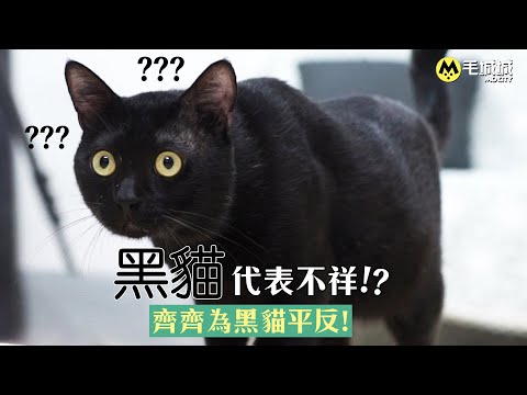 黑貓代表