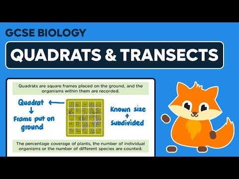 Sampling: Quadrats & Transects
