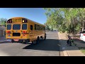 Getting On The Bus With Sagan On A Beautiful Sunny Day
