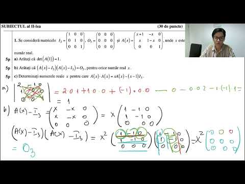 Bacalaureat matematică, sesiunea specială, 2022, Mate- Info