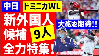 Re: [討論] 中日新洋將