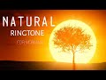 MORNING BEST ALARM TONE OR MOBILE RINGTONE IS HERE