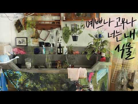 [RoomTour]식물 앞에서 감히 큰소리 치면 안돼요..! 잎이 삐둘어진단 마리야... / 햇빛이 부족해서 웃자라면 웃겨지는 거 아세요???