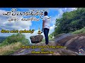 Pettagankanda Aranya Senasanaya 4K පෙට්ටගන්කන්ද ආරණ්‍ය සේන