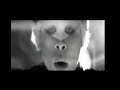 Empire Of The Sun Swordfish Hotkiss Night Terrible Quality