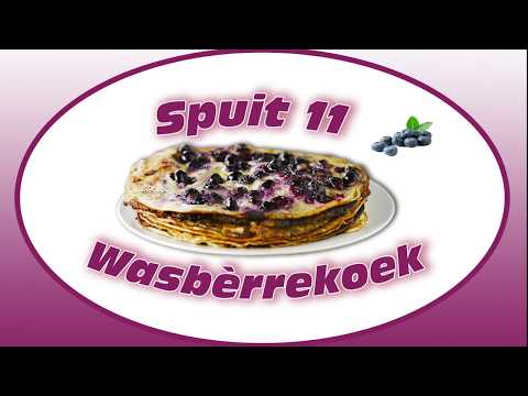 CV Spuit 11 - Wasberrekoek - Carnavalsschlager 2019 Groesbeek - Meezingvideo