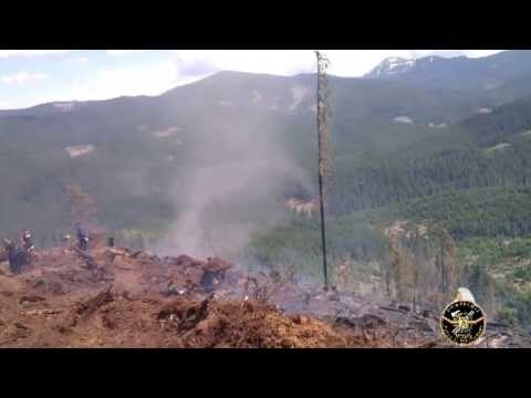 Incendiu de padure la Dornisoara