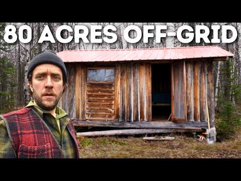 I Bought An Abandoned Cabin In The Alaska Wilderness...But I Didn't Expect This
