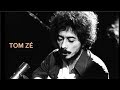 TOM ZÉ - Mãe [Mãe Solteira]