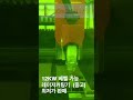펜타 볼트 시리즈 베벨 12kW 레이저커팅기 Bolt V 동영상 썸네일