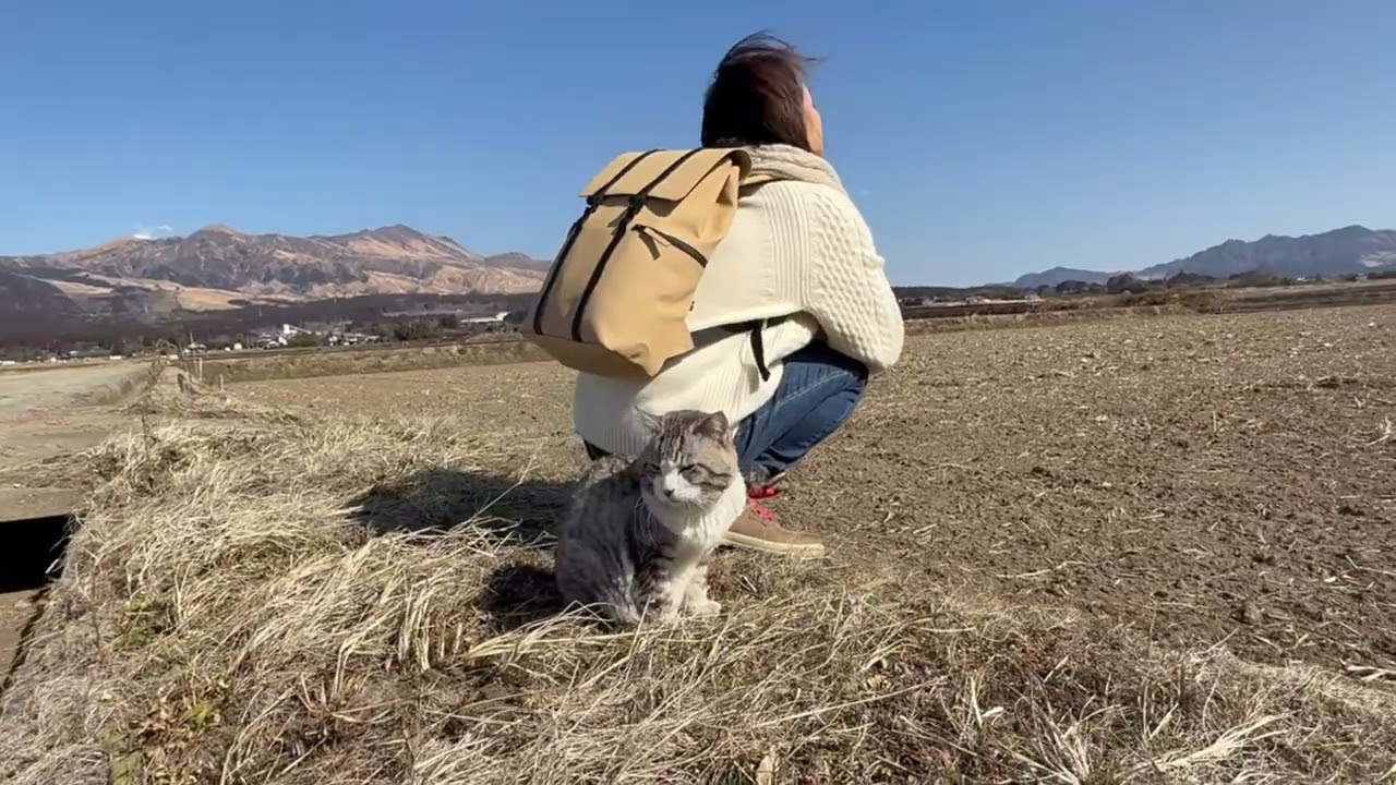 旅猫ニャン吉、スウェーデン🇸🇪のバック、ガストンルーガとパトロール😸
