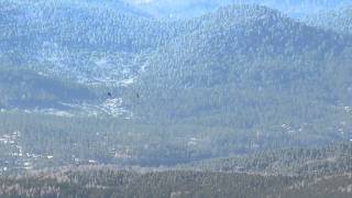 Peregrine and Prairie Falcons