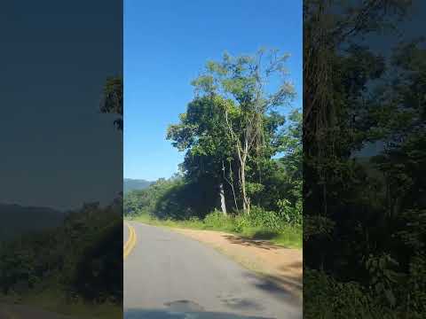 Descendo a Serra- Nova Roma do Sul-RS 