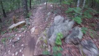 GoPro Session 5 Image Stabilization Test / Coldwater Creek / Bomb Dog DH
