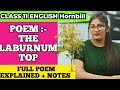 The laburnum top class 11|the laburnum top class 11 in hindi|The laburnum top