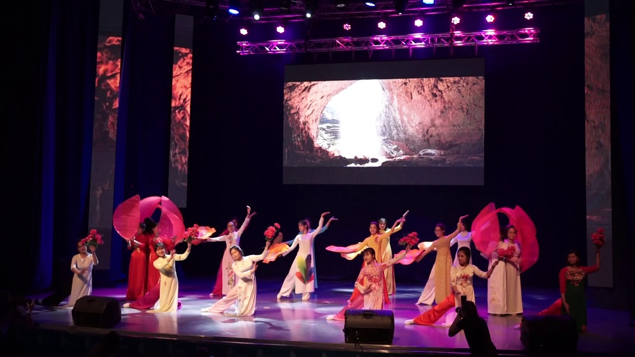 "Hồn sen Việt"- tốp nữ DVFU (DMSE2018)