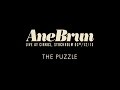 Ane Brun "The Puzzle - Live" 