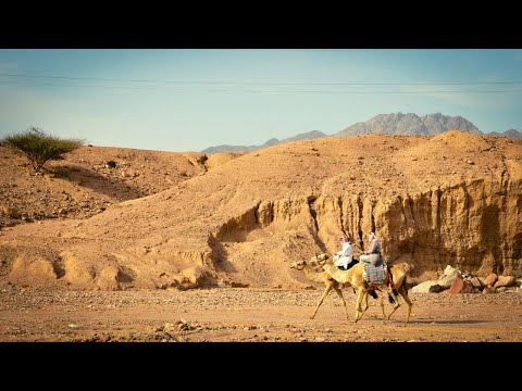 Goyanu, SIAAH - Folks Control (Cafe De Anatolia Songs)