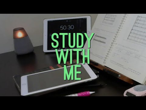 2019.02.22 | study with me | 중등임용시험 같이 공부해요 | 장작타는소리