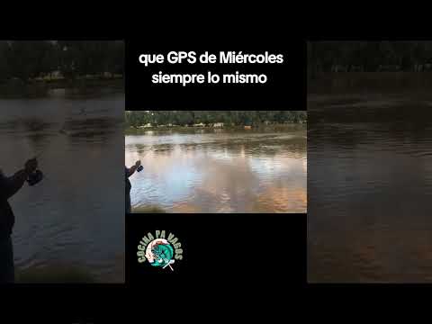 Siempre me falla el GPS 😞#rio #pesca #fyp #argentina🇦🇷 #buenosaires #baradero #humor #Meme #parati