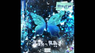 [音樂] Lil ray-羽化成蝶