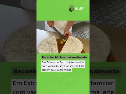 Em Estrela do Sul, projeto familiar com vacas Jersey transforma leite cru em queijo premiado