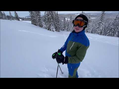 Black Forest Calling