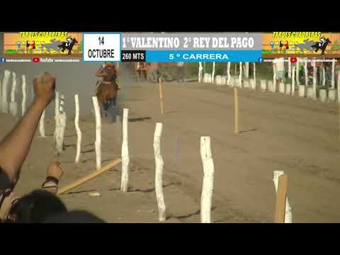 VALENTINO - HÍPICO "TIA CUKA" 14-10-2023