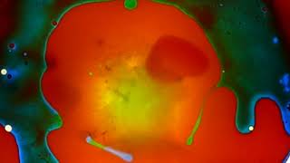 Andy&#39;s Chest #3 100 Covers Lou Reed &amp; Velvet Underground