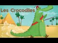 Ah les crocodiles - Comptine avec paroles | Carmen Campagne