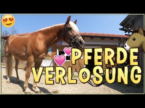 FMA PFERDE VERLOSUNG ✮✮✮✮✮ Anita Girlietainment