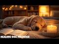 12 Hours Of Healing Music For Dogs Dog Relaxation Music Comforting Tunes For Dogs Deep Sleep