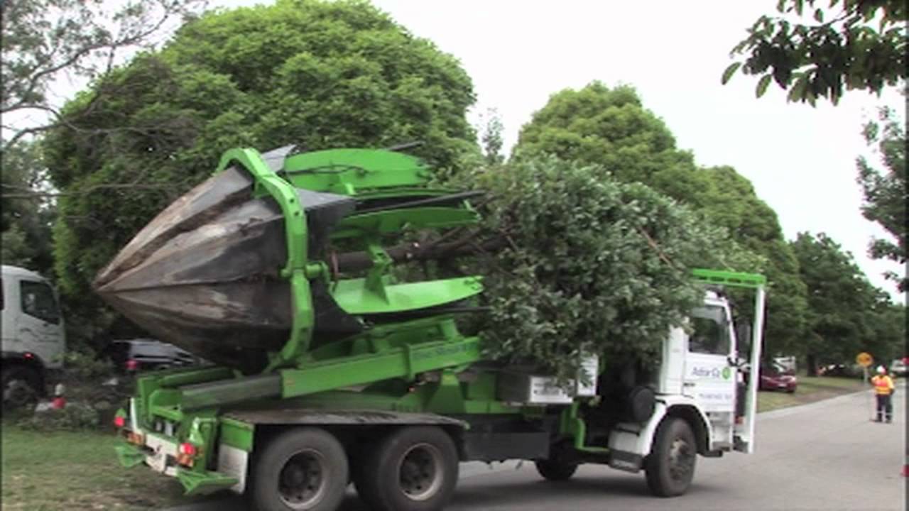 TruckMounted Claw Pulls Up Trees By The 6800kg Root Balls