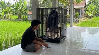 Download lagu THE APPEARANCE OF THE KUNTILANAK RITUAL BECOMES BEAUTIFUL mp3 Download lagu THE APPEARANCE OF THE KUNTILANAK RITUAL BECOMES BEAUTIFUL mp3