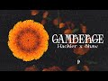Hackler X Shaw GAMBERGE Official Visual Art Video MARIGOLD