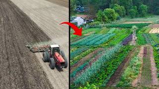 Regenerating and Recovering Old Crop Ground