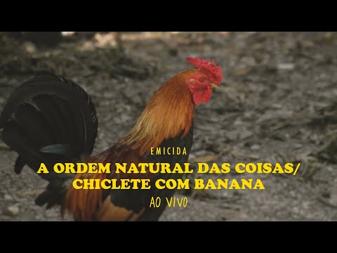 Emicida - A ordem natural das coisas / Chiclete com banana - Ao Vivo part. Mc Tha #AmarEloAoVivo