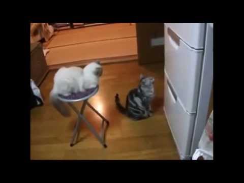 What Your Fridge Says About You