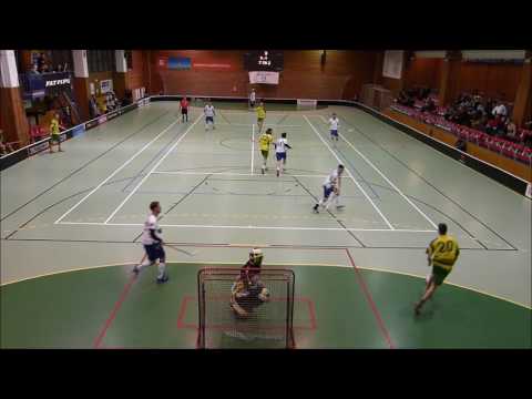 16. kolo NL 14.1.2017, 3.třetina Snipers Třebíč – Paskov Saurians 11:1 (4:0, 4:1, 3:0)