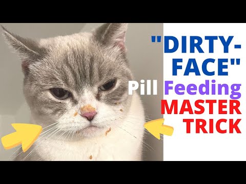 Why’s My Cats Face So DIRTY? Oh It’s a Funky Medicine Feeding Trick (that works)