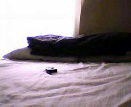 241(my favorie song)-mr.fruitcake