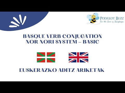 Lesson 9 - Basque Verbal System Nor-Nori - Exercises (Ariketak) 💫🌸