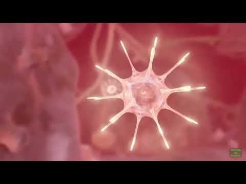 Gendoping - Die Mutanten greifen an! (ARTE/ZDF 2010)