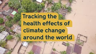 Tracking the health effects of climate change around the world | Wellcome