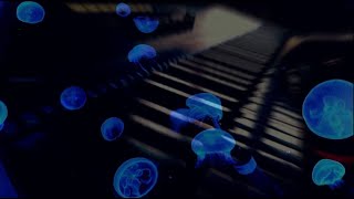 Relaxing Dream Ambient | Film HD | Contemplation Live act.2 : Overture | #chill
