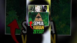Download lagu SOSOK ASLI ZETSU HITAM DAN ZETSU PUTIH 🥷 mp3