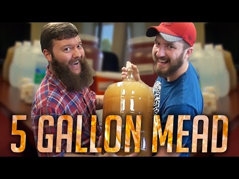 download lagu mp3 mp4 5 Gallon Mead Kit, download lagu 5 Gallon Mead Kit gratis, unduh video klip 5 Gallon Mead Kit