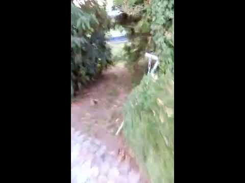 Przymusowa przerwa tirowca w Niemczech